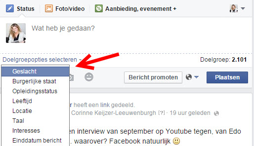 Facebook update plaatsen