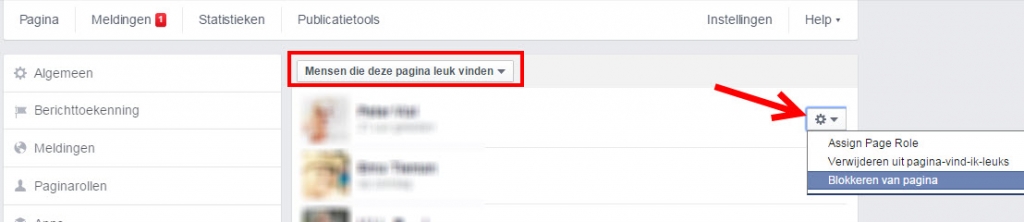 likes facebookpagina fans facebookpagina