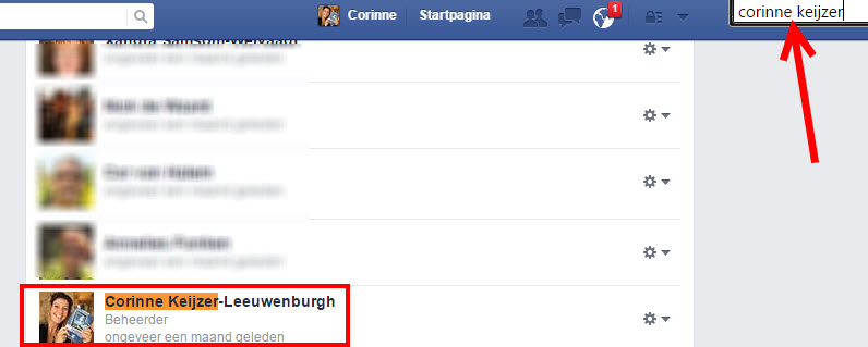 likes facebookpagina fans facebookpagina