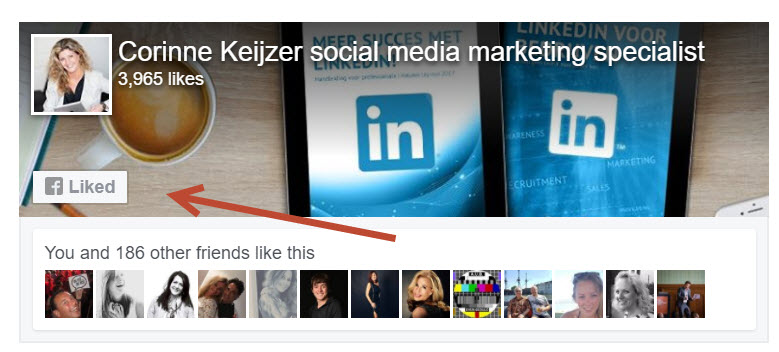 Dit is een voorbeeld van de Facebook Page Plugin