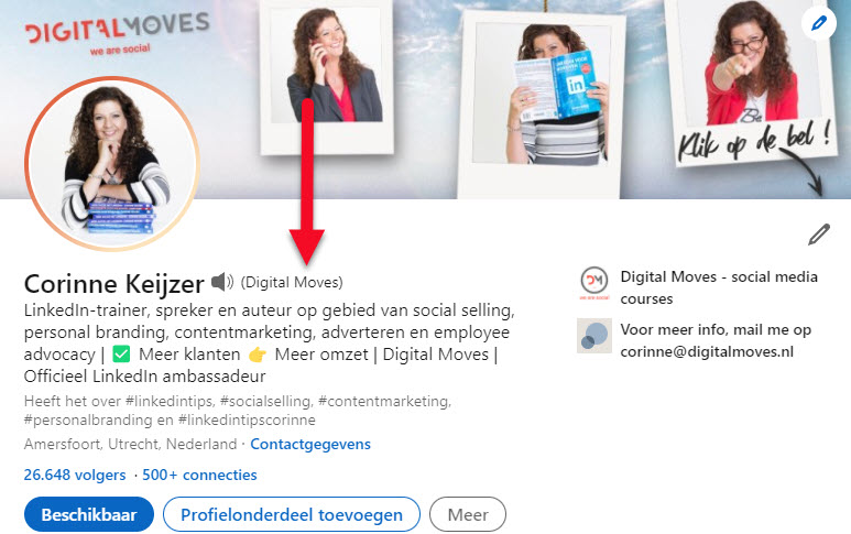 voornaamwoorden linkedin