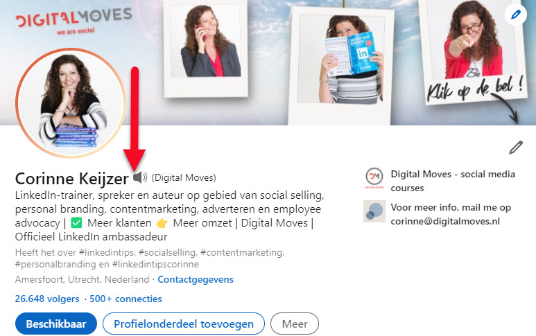 megafoon naam linkedin