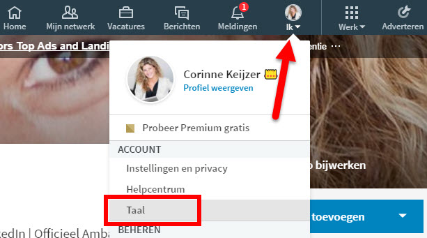 tweetalig profiel linkedin