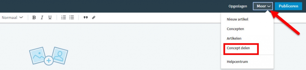 blog laten checken linkedin