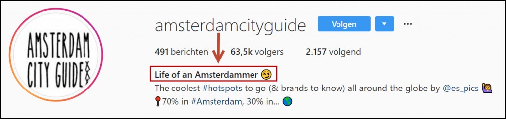 Tips voor een perfecte Instagram Bio